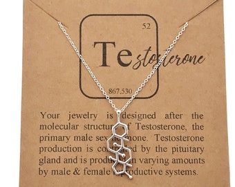 Sterling Silver Testosterone Molecule Pendant Necklace-Science Gifts-Chemistry Science STEM Jewelry