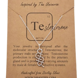 Sterling Silver Testosterone Molecule Pendant Necklace-Science Gifts-Chemistry Science STEM Jewelry