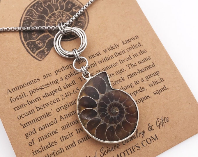 Ammonite  Nuatilus Fossil Pendant Necklace Infinity Knot | Golden Ratio Nature Science Jewelry | Stainless Steel