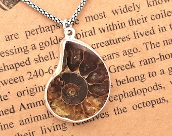 Ammonite Sterling Silver Pendant Necklace-Golden Ratio in Nature-Nautilus Fossil Pendant Science Gift-OOAK