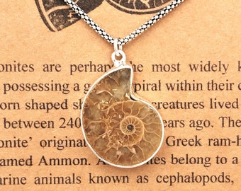 Ammonite Sterling Silver Pendant Necklace-Golden Ratio in Nature-Nautilus Fossil Pendant Science Gift-OOAK