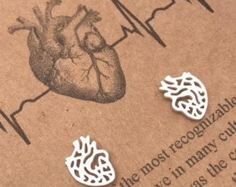 Sterling Silver-Anatomic Heart Earrings,Anatomy,Christmas Gift,Science Jewelry,Surgeon,Cardiology,Nurse Gift,Graduation Gift,Doctor Gift