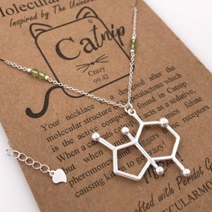 Catnip Molecule Necklace-Cat Lover Gift-Veterinarian Vet-Cat Necklace-Animal Necklace-Science Gift-Christmas Gift-Nepetalactone Molecule