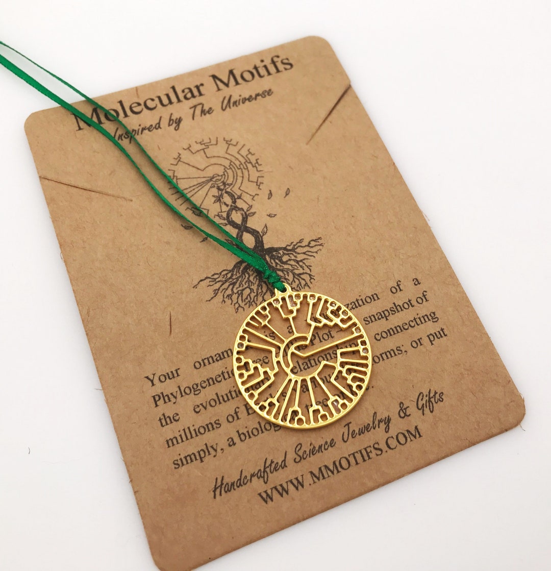 Biological Tree of Life Tree Ornamenthillis Plotevolutionbiology Gift