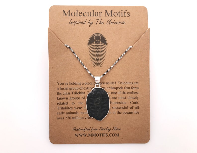 Sterling Silver Trilobite Fossil Pendant-Cambrian Period Fossil Necklace-Science Gift-STEM-Birthday Gift-Christmas Gift-Handmade OOAK