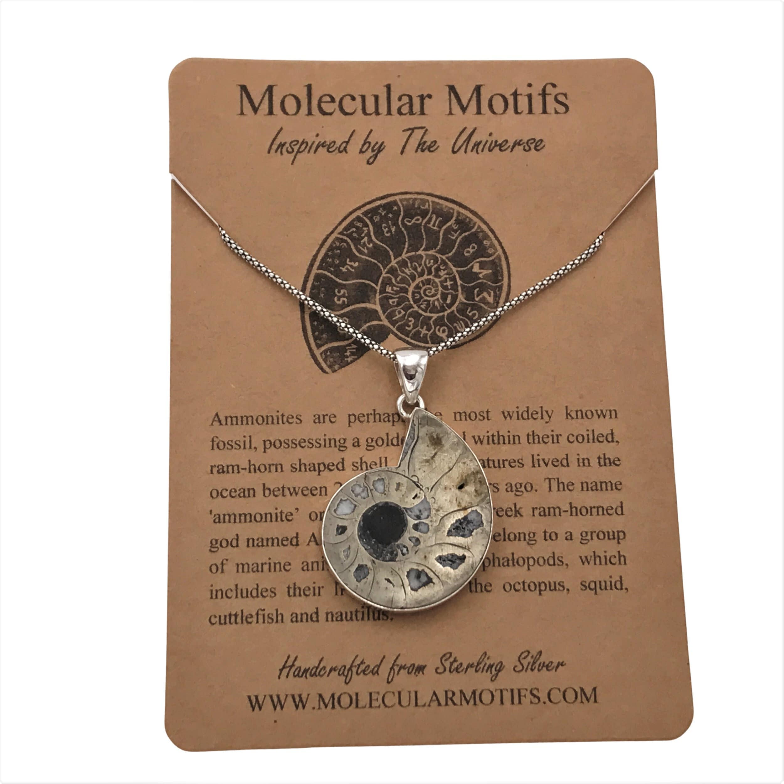 すんごい！アンモナイトのネックレスだよ！ すんごい！アンモナイトのネックレスだよ！ Amazon.co.jp