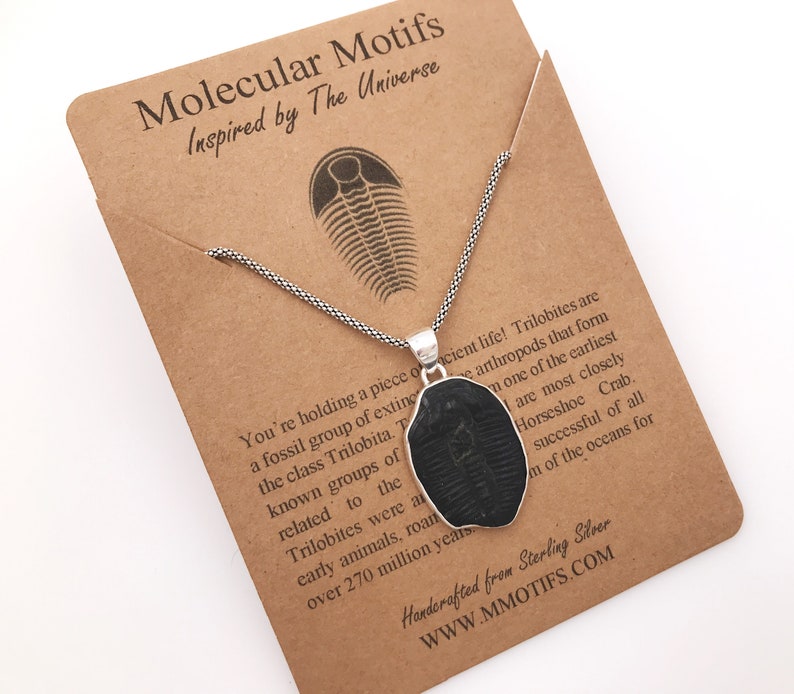 Sterling Silver Trilobite Fossil Pendant-Cambrian Period Fossil Necklace-Science Gift-STEM-Birthday Gift-Christmas Gift-Handmade OOAK