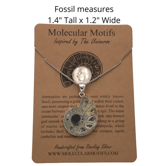 黄鉄鉱化アンモナイト　ネックレストップ　シルバー チャーム ペンダントヘッド 黄鉄鉱化アンモナイト ネックレストップ シルバー チャーム ペンダント