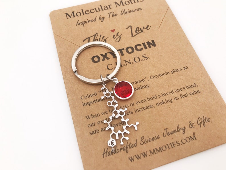 Oxytocin Molecule Love Keychain in Stainless Steel-Couple's Gift-Graduation Gift-Science Gift-Doula Gift-OBGYN Gift-Christmas Gift image 1