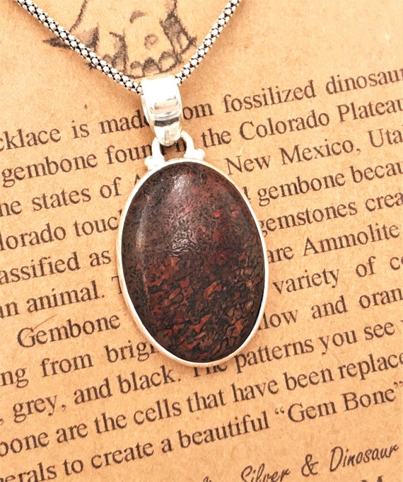 Fossilized dinosaur bone jewelry store