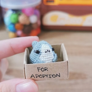 Pu&ograve; includere: Un piccolo animale di uncinetto grigio con occhi neri e un naso bianco &egrave; seduto in una scatola di cartone. La scatola ha le parole "FOR ADOPTION" scritte su di essa.