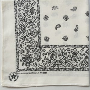 Paisley Bandanna: 21