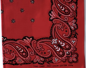 RUOTA ANTERIORE VANMOOF S2 28"" Pollici Con Motore Bafang TOP EUR 179 - Foto 10