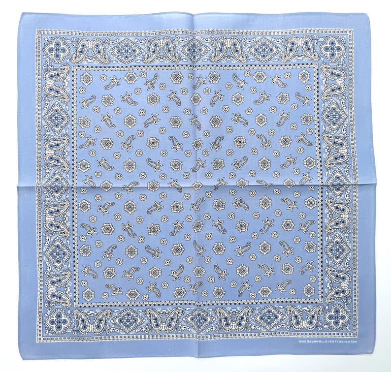 Light Blue Paisley Floral Bandana, 20
