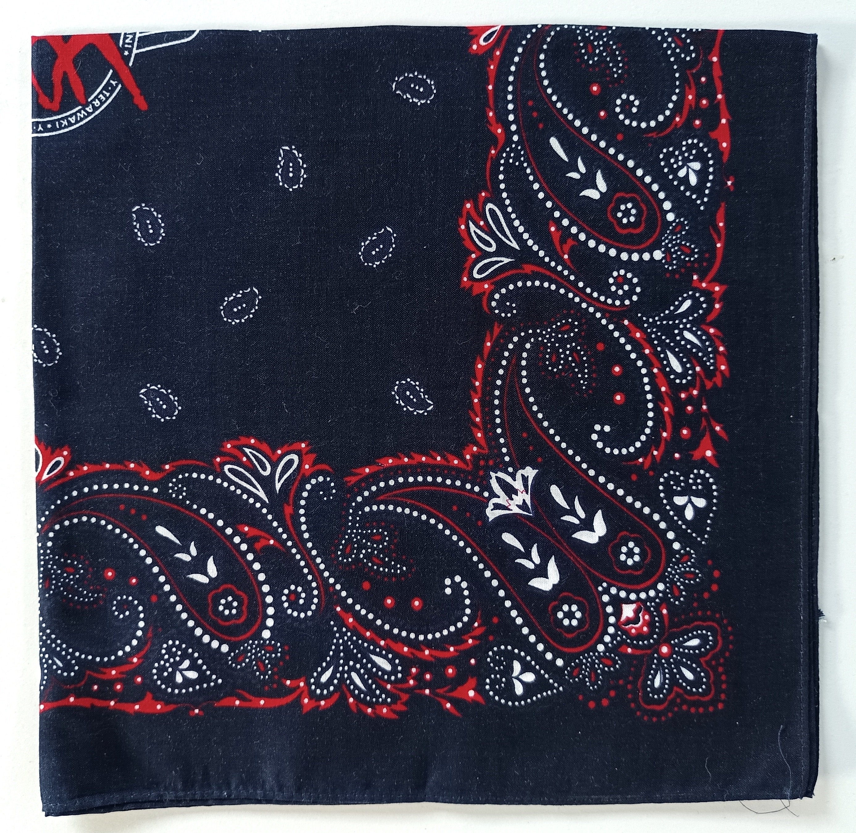 Blue Paisley Bandana, 21