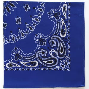 May include: A square, royal blue bandana featuring a white and black paisley pattern. The paisley design is concentrated in the corners and along the edges. The bandana is made of soft, folded fabric.