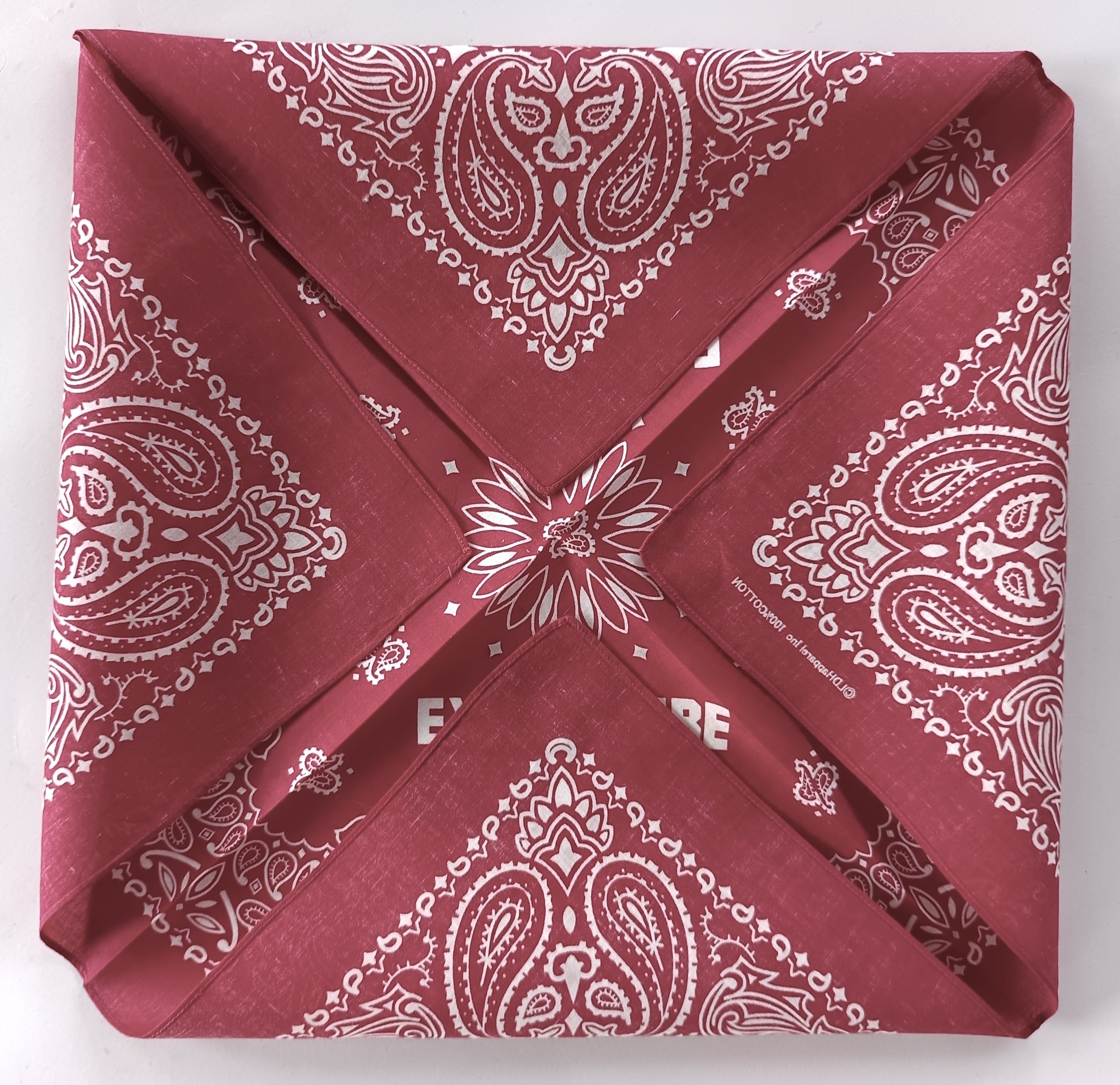 Red Paisley Bandana, 20.5