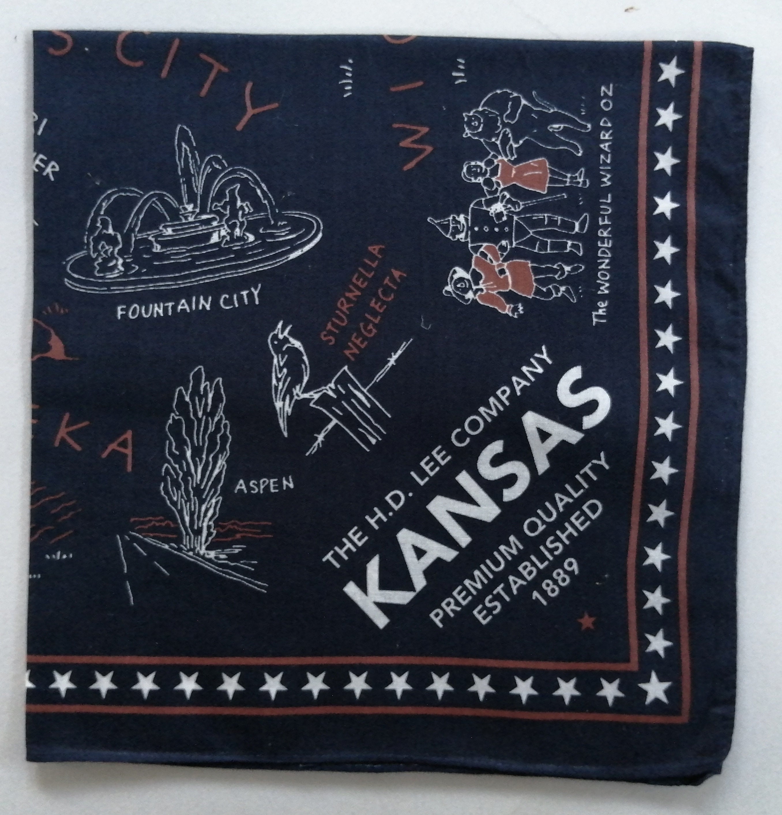 Vintage H.D. Lee Kansas Bandana, 19