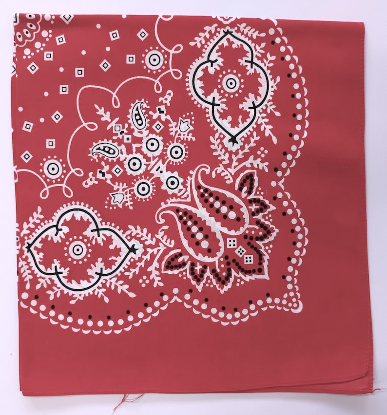 Red Paisley Floral Bandana, 21.5