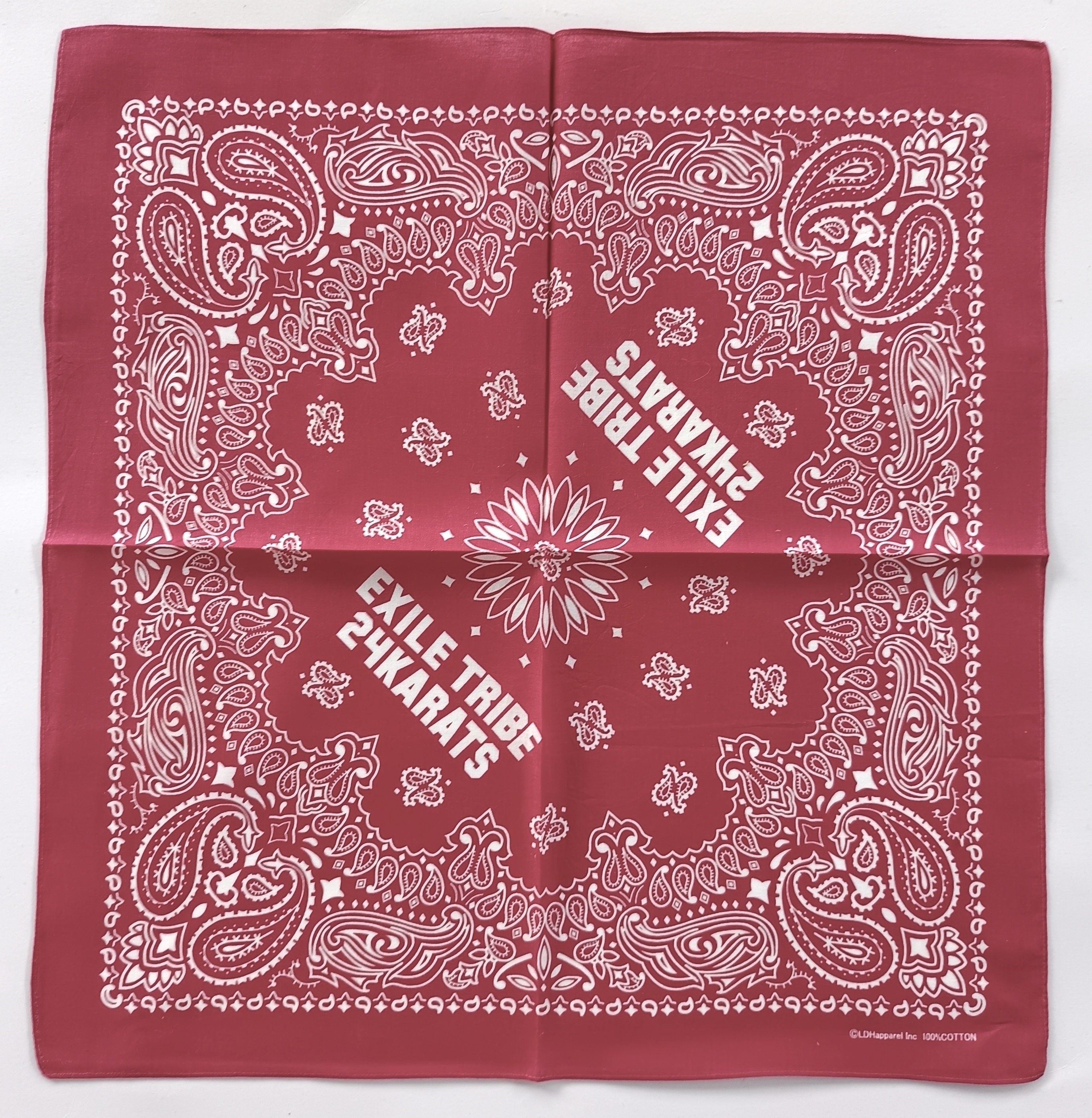 Red Paisley Bandana, 20.5 Red Paisley Bandana, 20.5