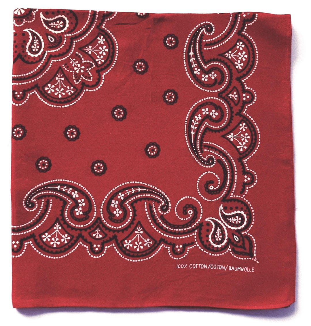 Red X 100% Katoen XL Paisley Bandana (25 x 25) Lichtgewicht, Wit, XL