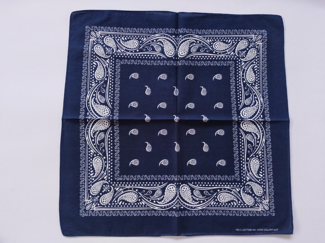 Blue Paisley Bandana, 21