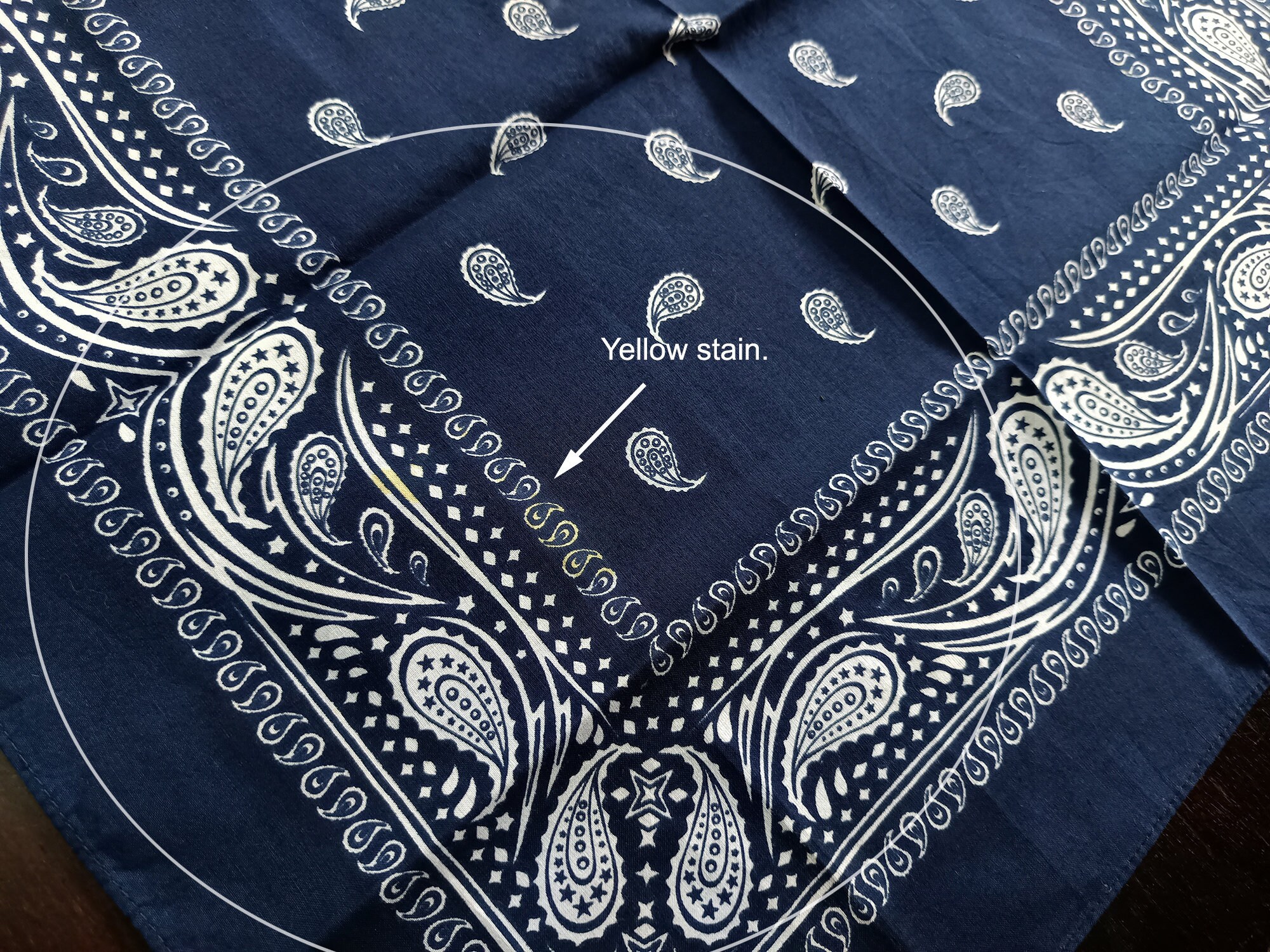 Blue Paisley Bandana, 21
