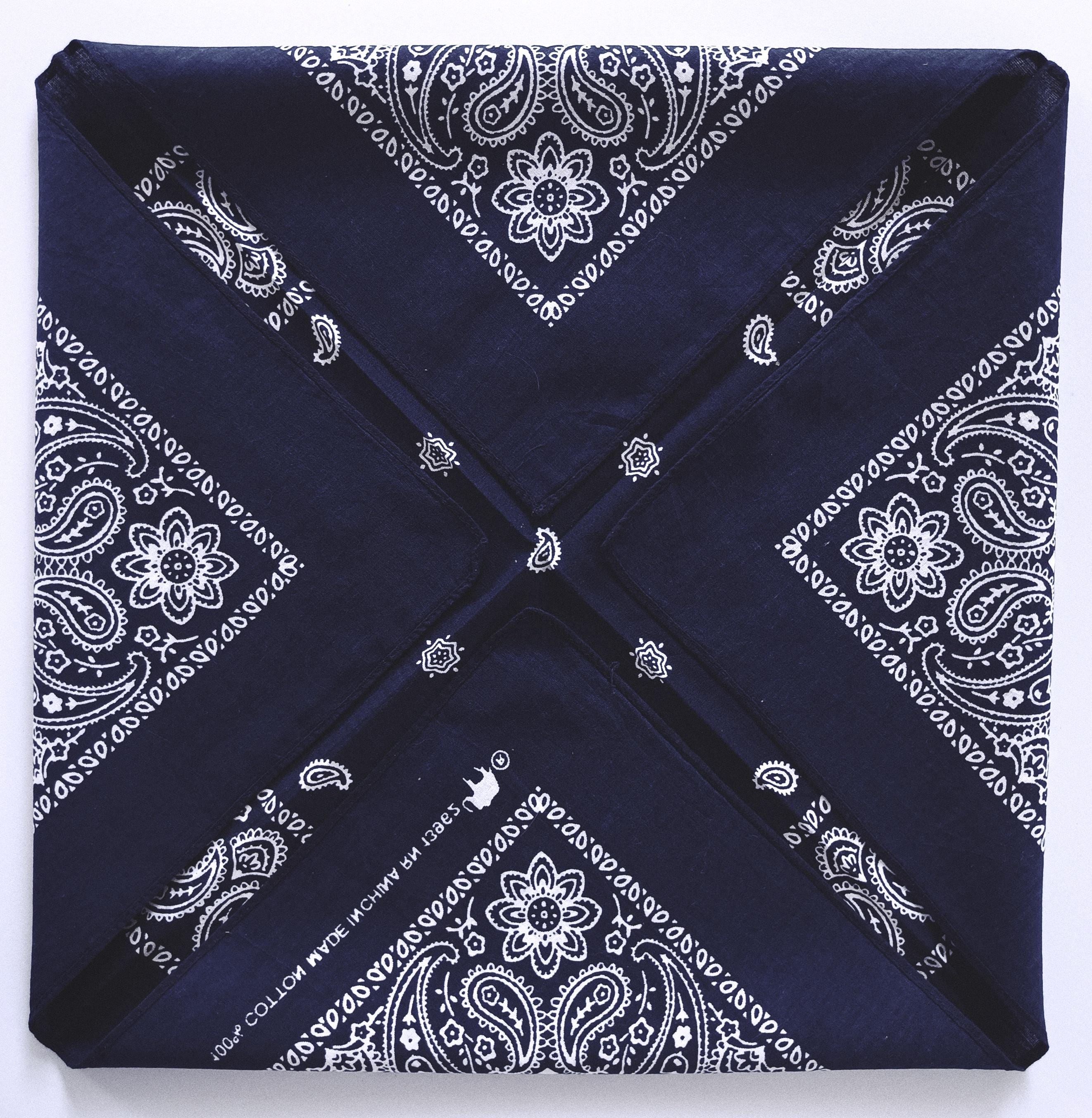 BLUE BLUE:ニューペイズリーバンダナ、サラサ BLUE BLUE｜BLUE BLUE ニューペイズリーバンダナ ハンカチ 日本製