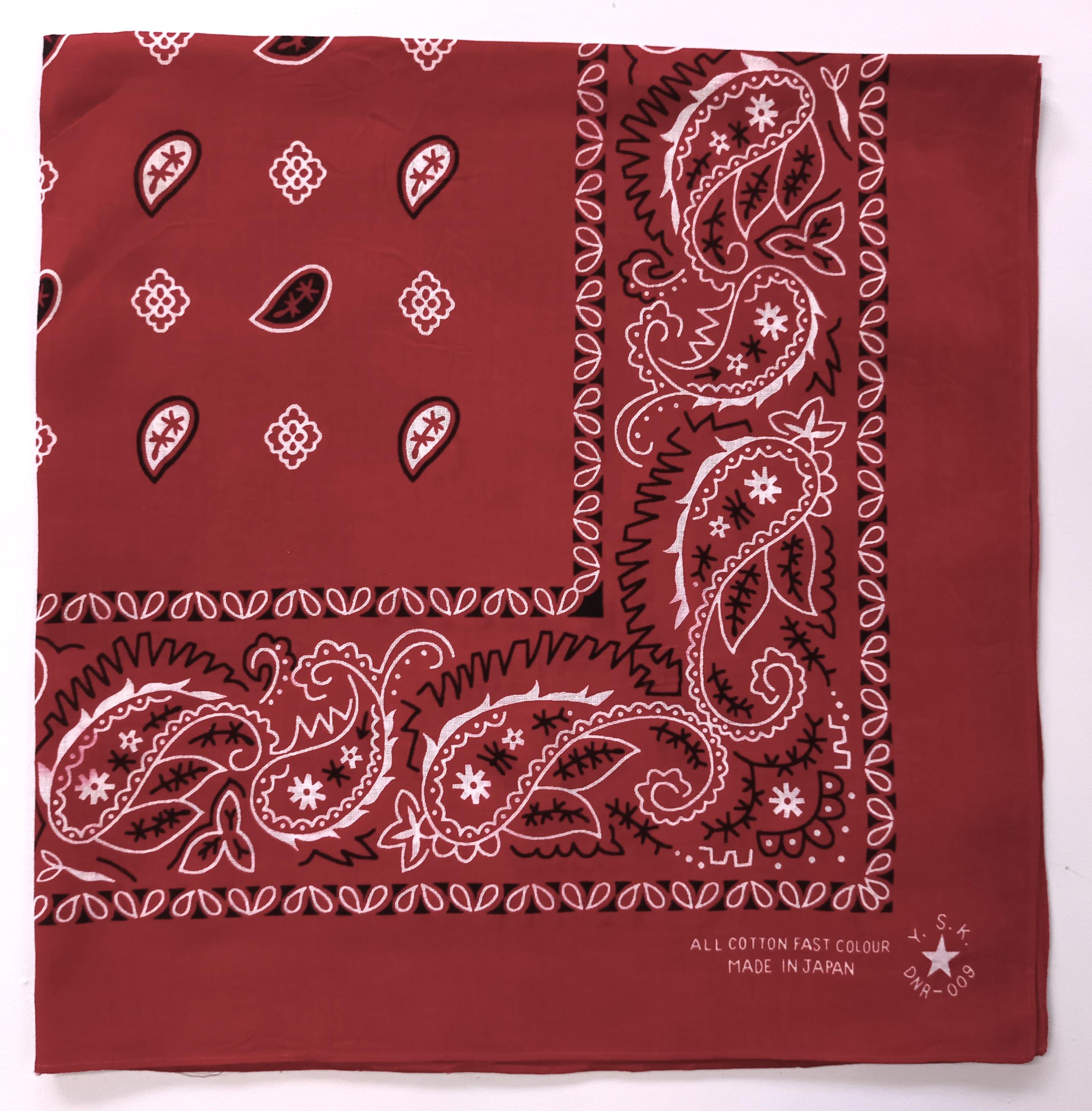 Paisley Bandana, 25.5