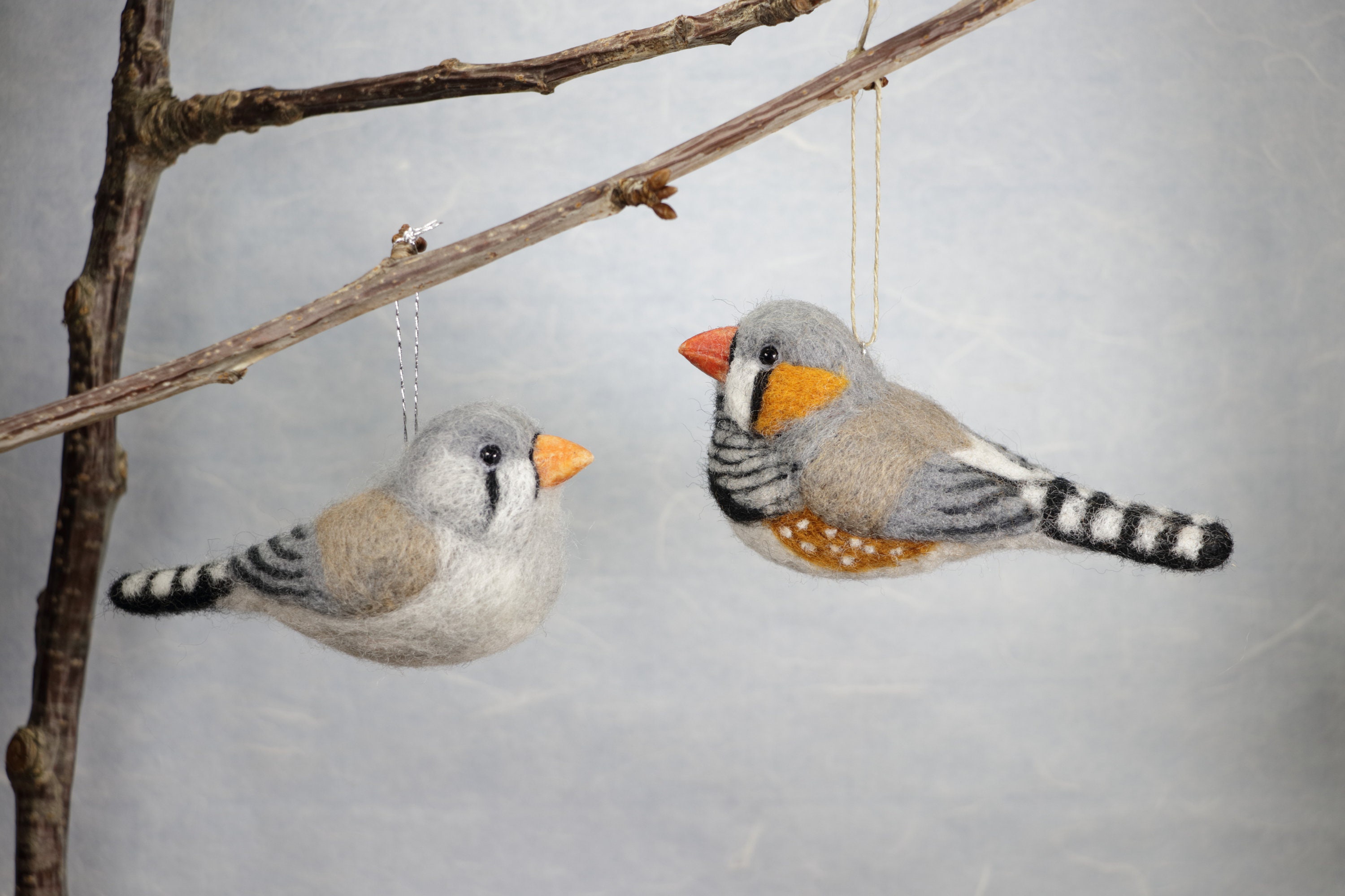 Needle Felted Bird Needle Felted Zebra Finch Wool Felted Zebra Etsy