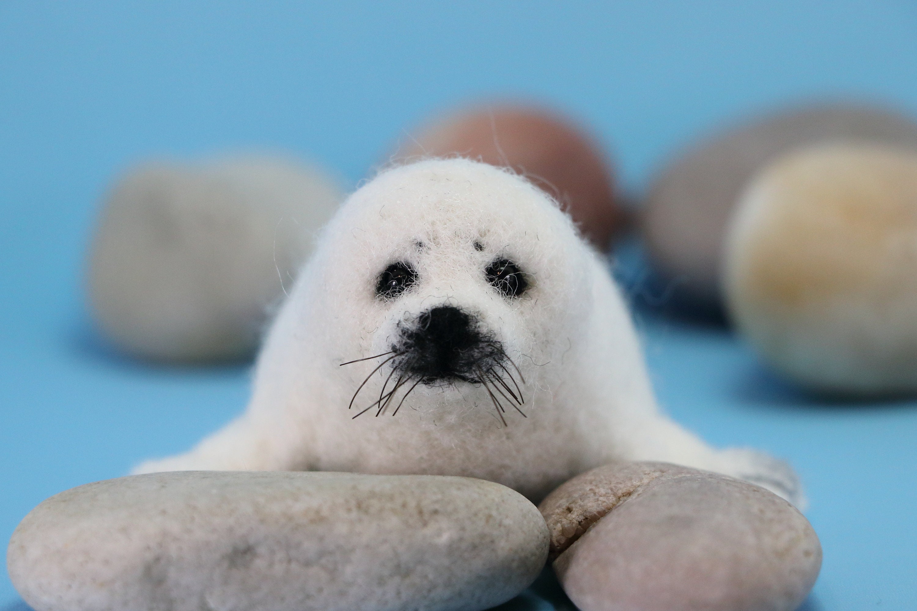 Needle Felted Baby Seal Needle Felted Seal Ornament Wool Etsy Canada