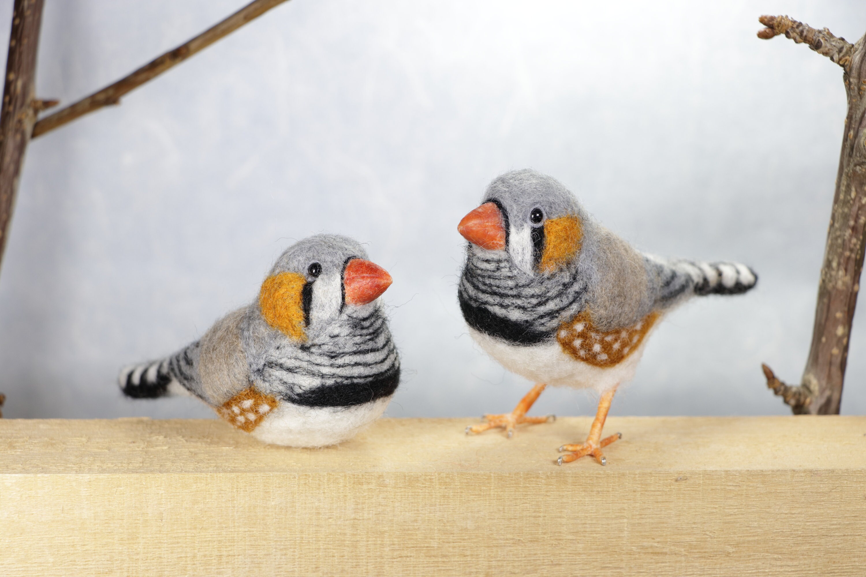 Needle Felted Bird Needle Felted Zebra Finch Wool Felted Zebra Etsy