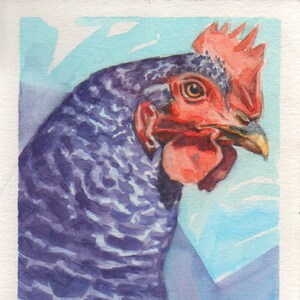 Download Barred Rock Chicken Kitchen Art Chicken Original Watercolor Painting Painting Art Collectibles Delage Com Br