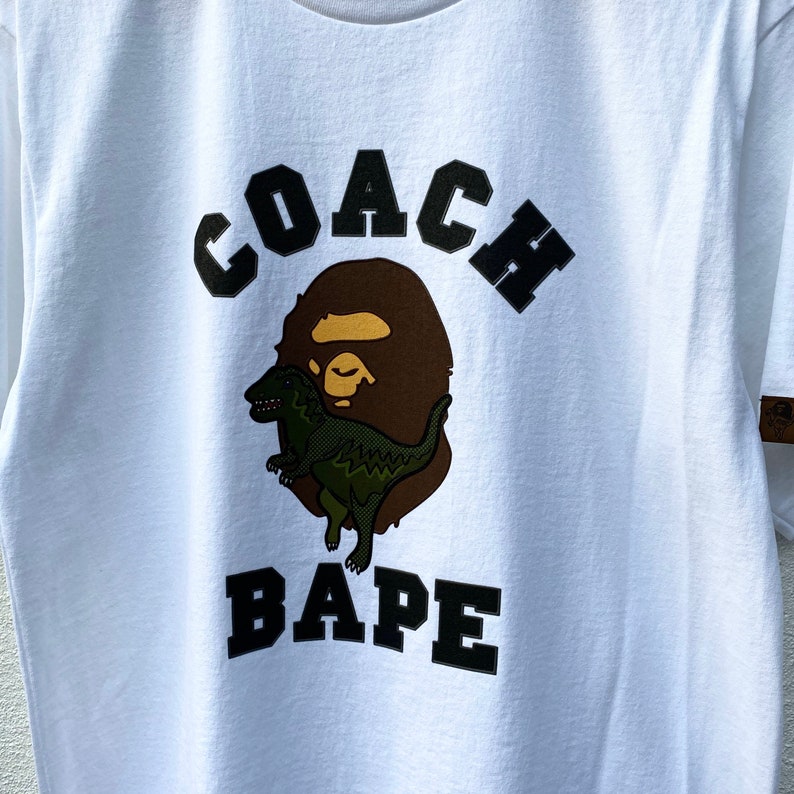 a bathing ape bapesta coach multi