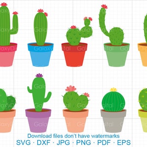 Peut inclure: Un ensemble de dix illustrations de cactus de dessin animé colorés dans des pots. Les cactus sont de formes et de tailles variées, certains ayant des fleurs sur le dessus. Les pots sont également de couleurs et de styles différents.