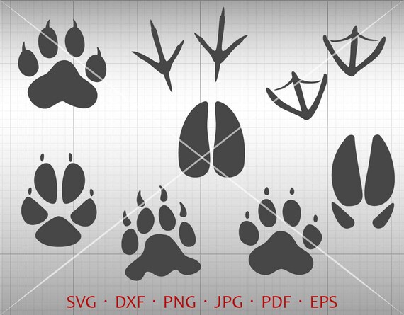 Download Animal Tracks Svg Hunting Svg Paw Prints Clipart Silhouette Etsy