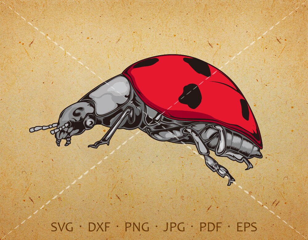 Free Free 91 Cricut Ladybug Svg Free SVG PNG EPS DXF File