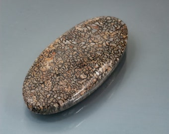 Dinosaur bone Utah oval cabochon polished both sides beige black 19 mm x 43 mm x 5 mm deep. 37.5 carats.