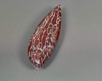 Dinosaur bone gem bone / orange brown / pear shape cabochon / designer gemstone / polished both sides