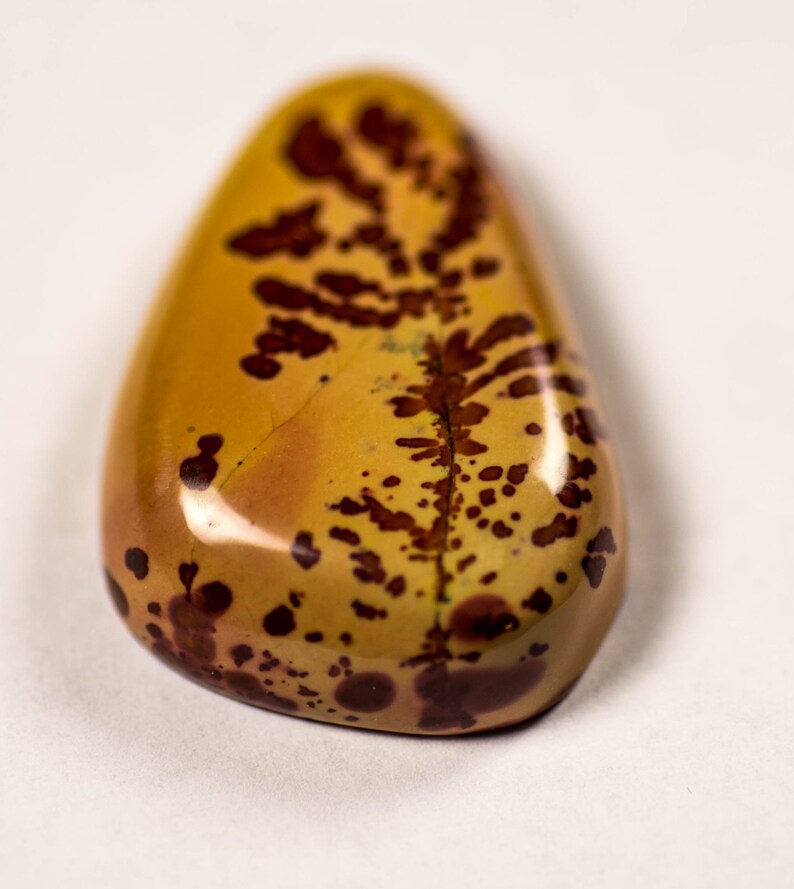 Owyhee Jasper hand cut cabochon from RK minerals stock # 202