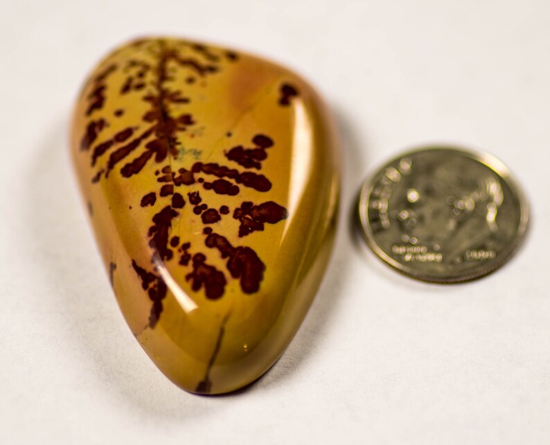 Owyhee Jasper hand cut cabochon from RK minerals stock # 202