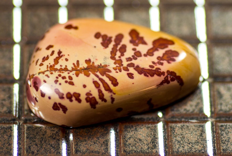 Owyhee Jasper hand cut cabochon from RK minerals stock # 202