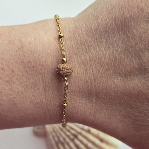 Rudraksha Armband Gold Edelstahl Kette niemals 7mm Rudraksha 5 Mukhi Natürliche Samen Rudraksha Armband Gold Kette Schmuck Geschenk