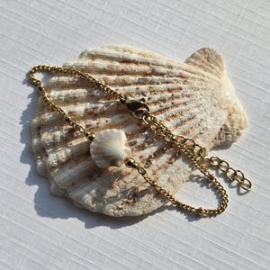 Könnte beinhalten: Ein goldfarbenes Kettenarmband mit einem kleinen, weißen Muschelanhänger. Das Armband liegt auf einer großen, strukturierten Muschel vor weißem Hintergrund. Das Armband hat einen Karabinerverschluss.