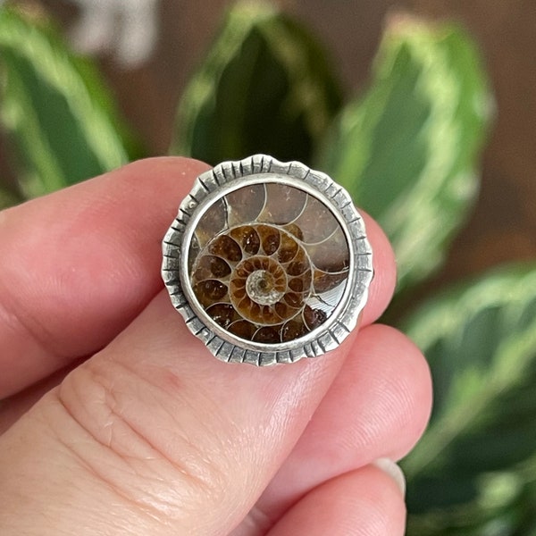 Ammonite Circle Ring, Handmade Sterling Silver Bohemian Jewelry, Beach Style, Fossil Jewelry, Unique Gifts For Her, Nature Inspired Ring