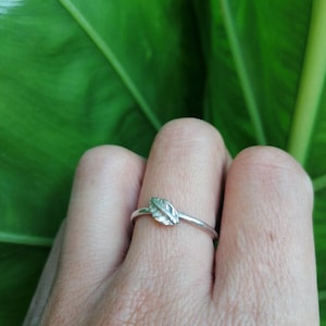 Blattring aus 925er Silber, minimal, Damenring, Sterlingsilberring