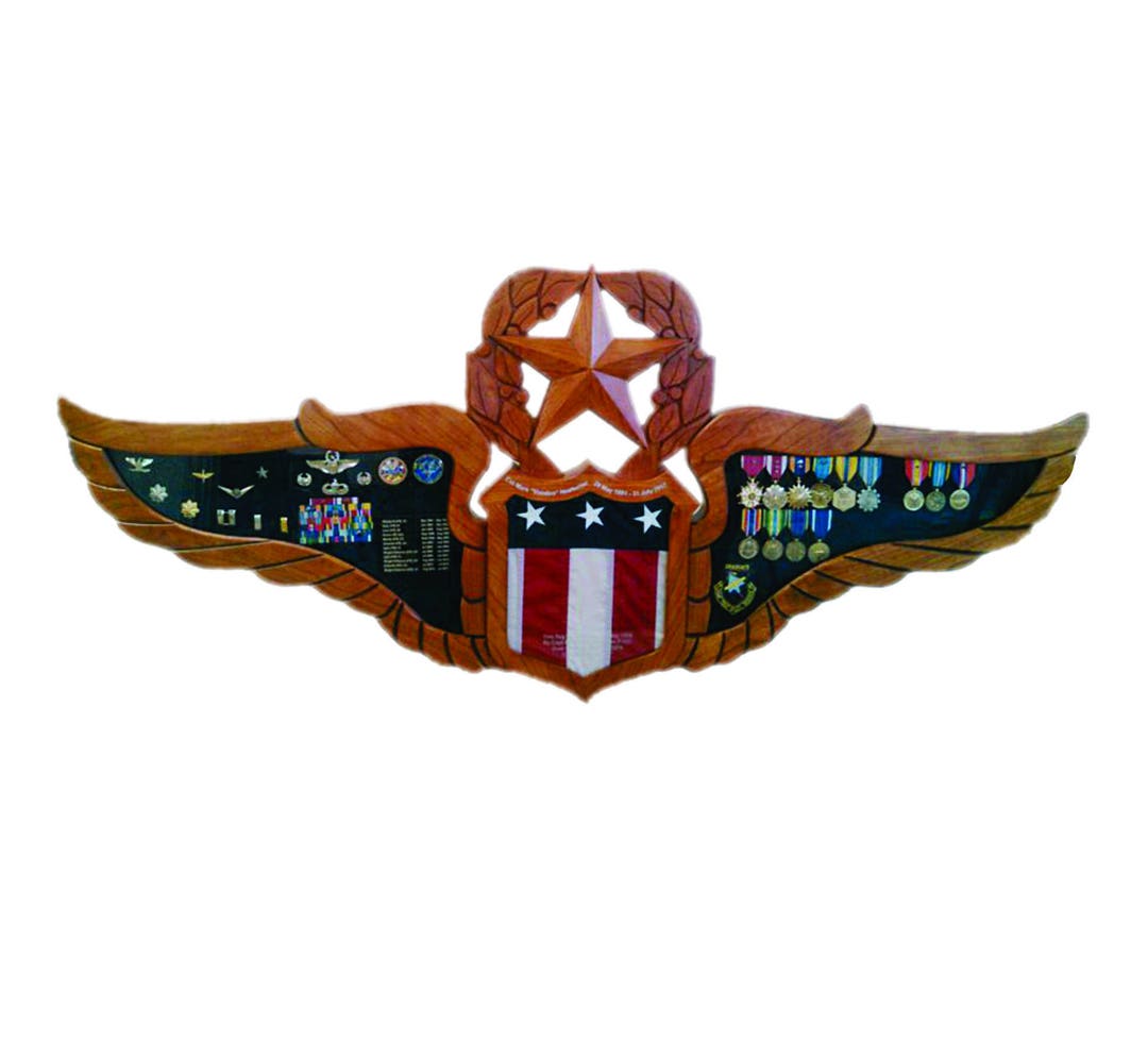 Air Force Pilot Wings Shadow Box Display Case Etsy