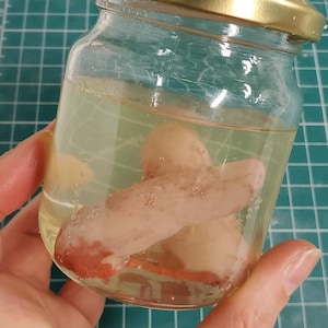 May include: A clear glass jar with a gold lid, containing a light yellow liquid and several pale, fleshy objects. The jar is held in a hand, and the background is a green cutting mat with grid lines.