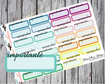 Cajitas funcionales- importante (Planner stickers functional boxes in Spanish "importante"= "important")