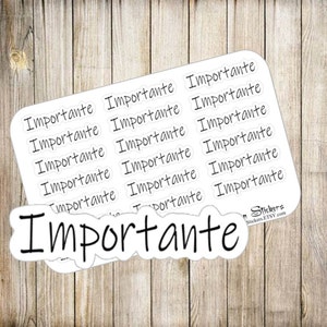 Frases en español- Importante (Planner stickers in Spanish- important)